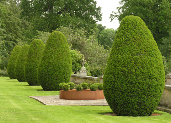 Buxus Ring 200cm at Mellerstain © Andrea Geile 2007. Photo: © M. Wolchover
